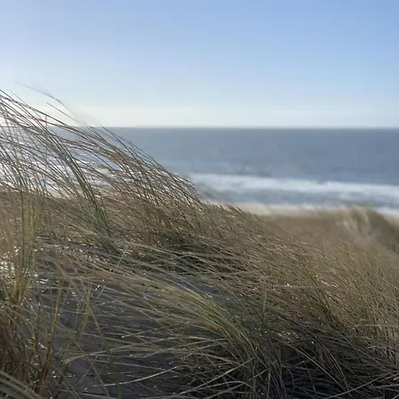 Apartament Atlantik 1-41 - Haus Atlantik Westerland